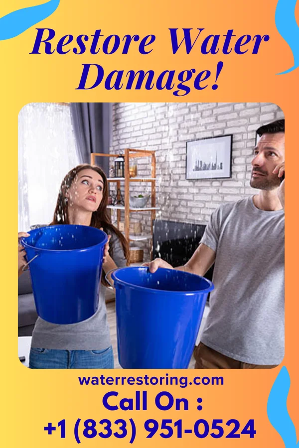 water restoration Platinum Water Repair Authority North Webster