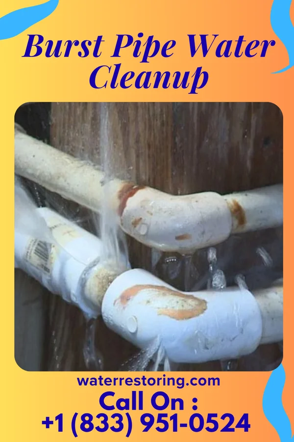 Burst Pipe Water Cleanup in North Webster, IN