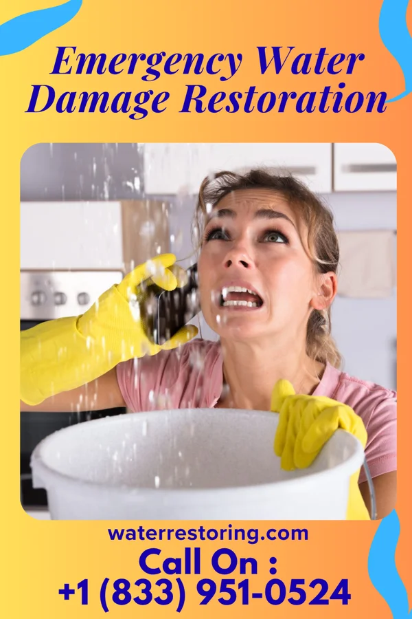 Emergency Water Damage Restoration in North Webster, IN