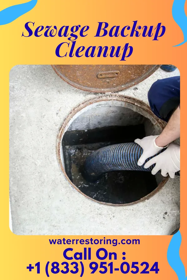 Sewage Backup Cleanup in North Webster, IN