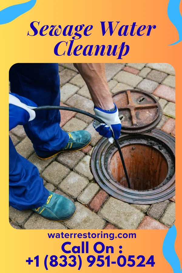 Sewage Water Cleanup in North Webster, IN
