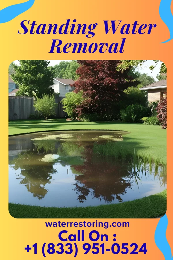 Standing Water Removal in North Webster, IN